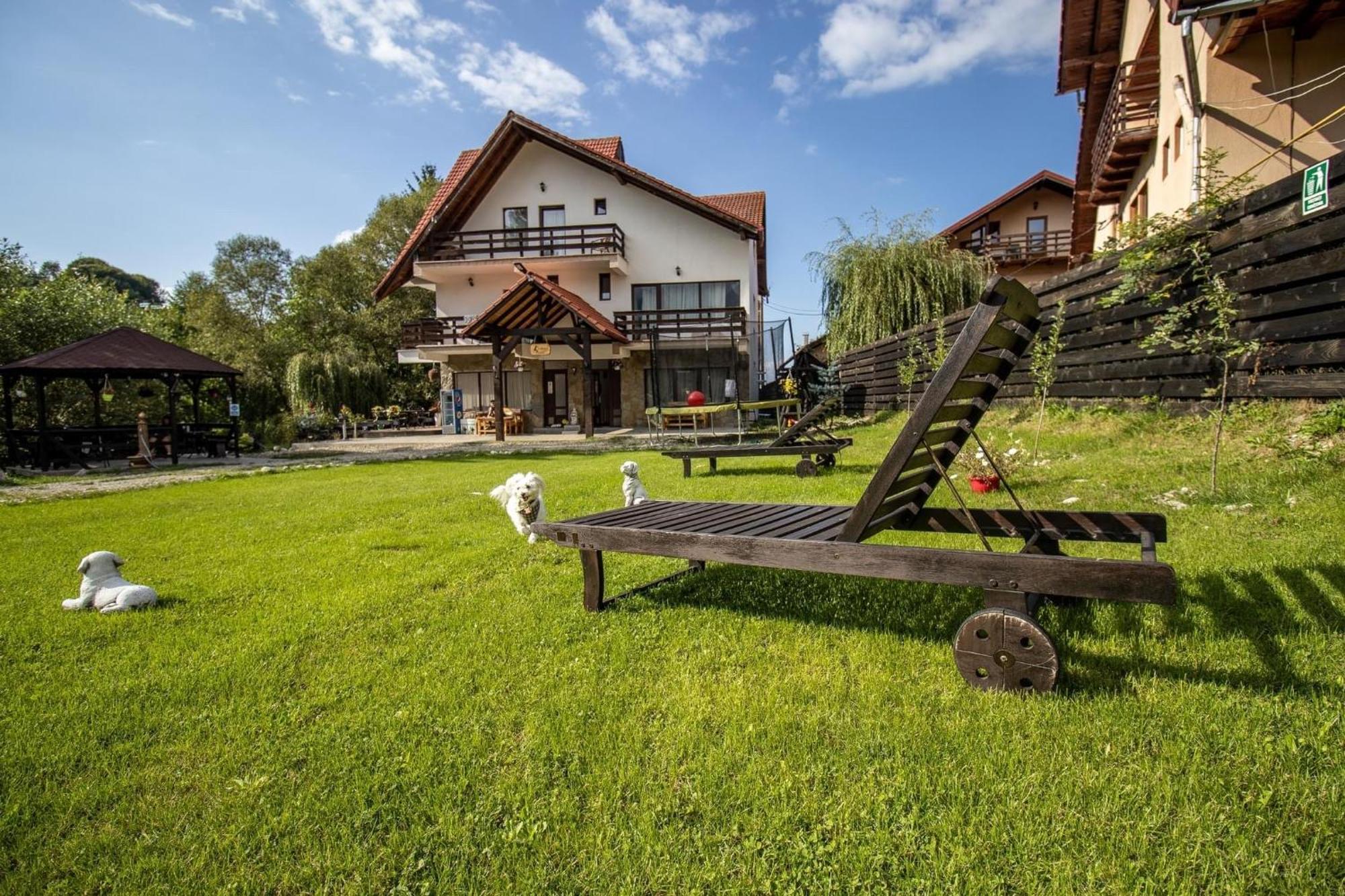 Vila Vibrant Bran  Exterior foto